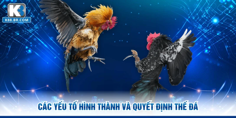 Các yếu tố hình thành và quyết định thế đá