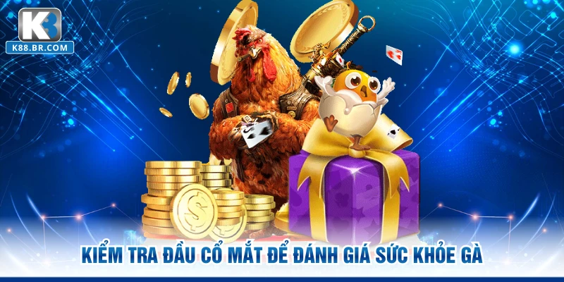 Kiểm tra đầu cổ mắt để đánh giá sức khỏe gà