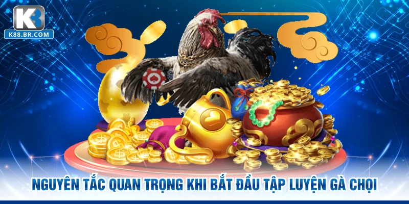 Nguyên tắc quan trọng khi bắt đầu tập luyện gà chọi