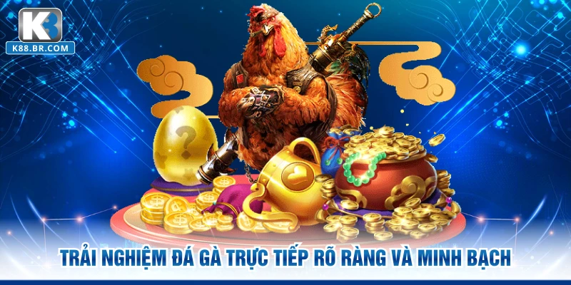 Trải nghiệm đá gà trực tiếp rõ ràng và minh bạch