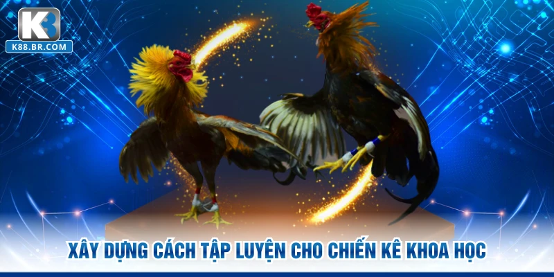 Xây dựng cách tập luyện cho chiến kê khoa học